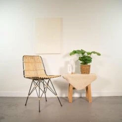 Calathea Orbifolia Et Son Panier Naturel - H40cm, ø14 Cm - Plante D'intérieur 6 Calathea Orbifolia Et Son Panier Naturel - H40cm, ø14 Cm - Plante D'intérieur -Promos Floromyst Boutique 0a1d4522cdd0a9fb