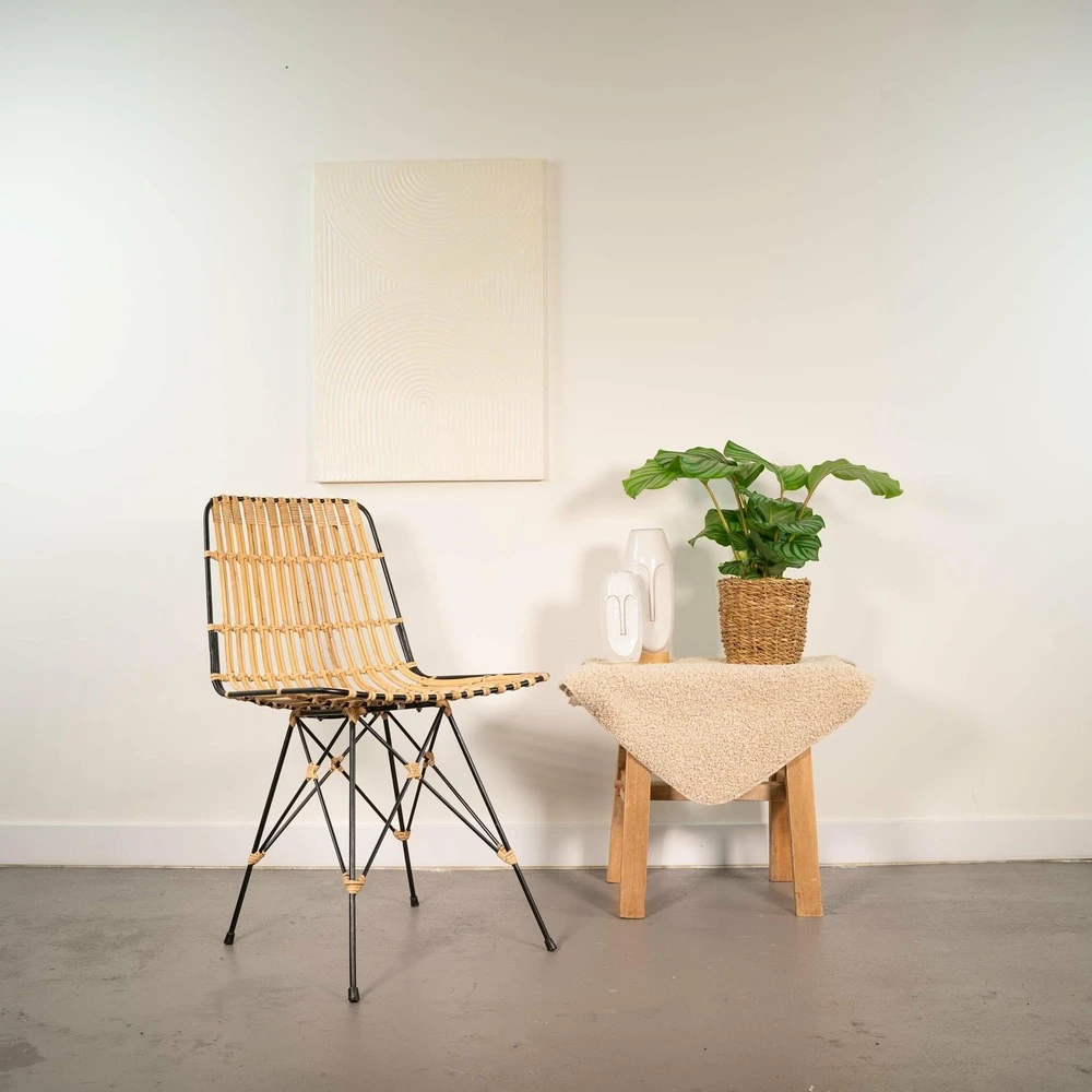 Calathea Orbifolia Et Son Panier Naturel - H40cm, ø14 Cm - Plante D'intérieur 2 Calathea Orbifolia Et Son Panier Naturel - H40cm, ø14 Cm - Plante D'intérieur – Image 2