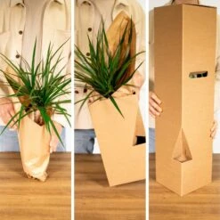Tillandsia Et Son Support En Cube - H35cm, ø20cm - Plante D'intérieur Tombante -Promos Floromyst Boutique 1d4ca7b43168e807