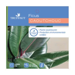 Caoutchouc : 3 Pieds Pot -Promos Floromyst Boutique 28705 001