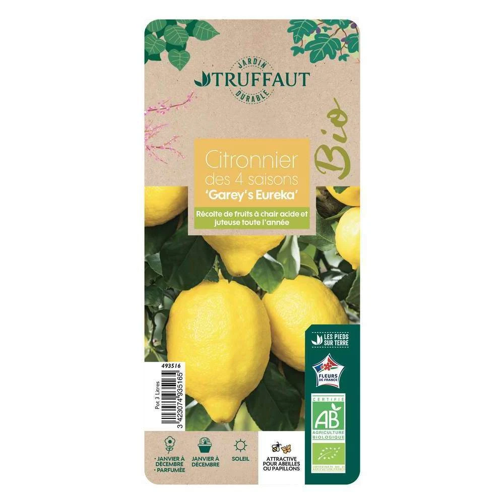 Citronnier 4 Saisons:AB Conteneur 3 Litres 1 Citronnier 4 Saisons:AB Conteneur 3 Litres