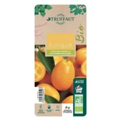 Kumquat : Ctr 3 Litres, Agriculture Biologique 6 Kumquat : Ctr 3 Litres, Agriculture Biologique -Promos Floromyst Boutique 493534 006 1