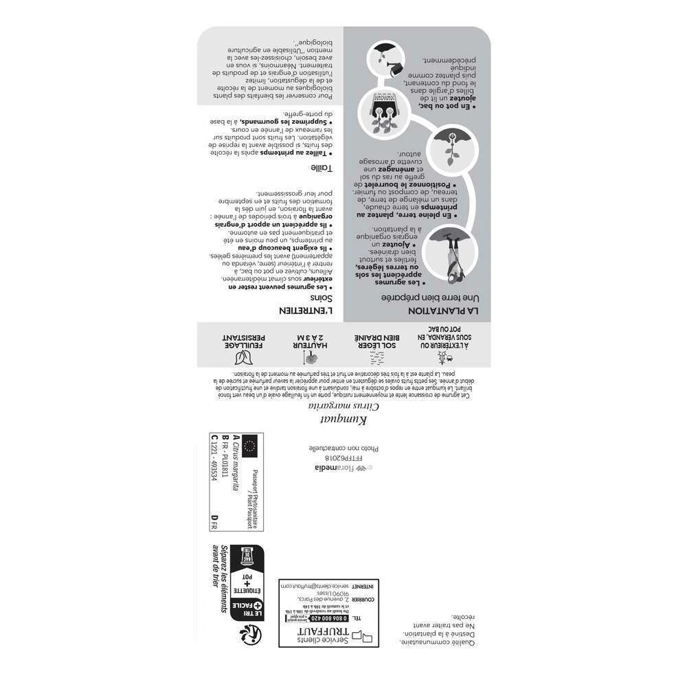 Kumquat : Ctr 3 Litres, Agriculture Biologique 3 Kumquat : Ctr 3 Litres, Agriculture Biologique – Image 3