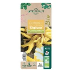 Main De Bouddah:AB Conteneur 3 Litres -Promos Floromyst Boutique 493536 006 1