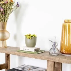 Dionaea Muscipula – Plante Carnivore – Peu D'entretien – ⌀12 Cm – ↕10-15 Cm -Promos Floromyst Boutique 640b20a5e78e48.00125916