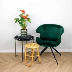 Anthurium 'aristo' Orange - Plante Flamingo - Entretien Facile - ⌀14 Cm - ↕45-55 Cm 8 Anthurium 'aristo' Orange - Plante Flamingo - Entretien Facile - ⌀14 Cm - ↕45-55 Cm -Promos Floromyst Boutique 640b783c3548d8.40389046