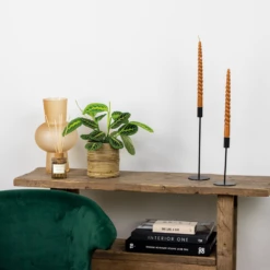 Maranta Lemon Lime – Plante De Prière – Plante D'intérieur – Purificateur D'air – ⌀12cm –↕10-15cm -Promos Floromyst Boutique 640b786dee6560.87406910