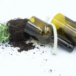 Kit Irrigation Basilic Prêt à Pousser -Promos Floromyst Boutique 6420e04c31ba02.20141726