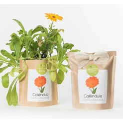 Sac Papier Prêt à Cultiver Calendula -Promos Floromyst Boutique 6420e04cca6d08.48418237