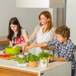 Sac Papier Prêt à Cultiver Calendula -Promos Floromyst Boutique 6420e04ce65762.91235116