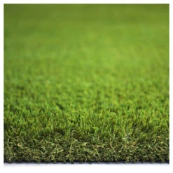 Gazon Synthétique Cottage - 38mm - 1m X 10m 11 Gazon Synthétique Cottage - 38mm - 1m X 10m -Promos Floromyst Boutique 645ce1c1951ab0.98164146