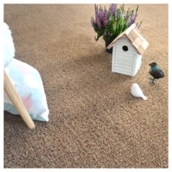 Gazon Synthétique Arty - Couleur Beige - 20mm - 2m X 6m -Promos Floromyst Boutique 645ce1e11c32e2.57200898