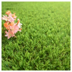 Gazon Synthétique Fontainebleau - 30mm - 1m X 9m 8 Gazon Synthétique Fontainebleau - 30mm - 1m X 9m -Promos Floromyst Boutique 645d645d3244b6.85261918