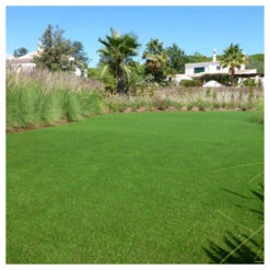 Gazon Synthétique Jardin D'été - 30mm - 1m X 8m -Promos Floromyst Boutique 645d646ab57299.80970846