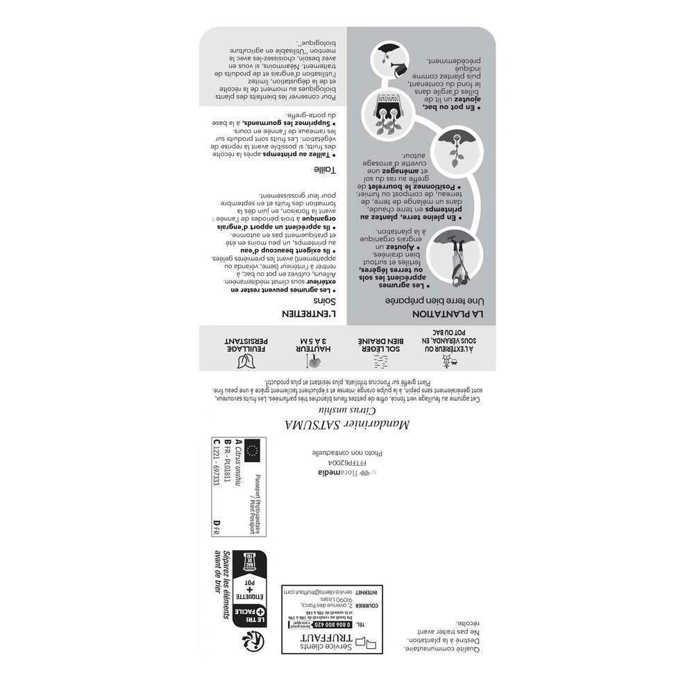 Mandarinier Satmusa : AB, C3L Greffe 2 Mandarinier Satmusa : AB, C3L Greffe – Image 2