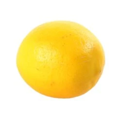 Citronnier X Meyer : AB C3L 9 Citronnier X Meyer : AB C3L -Promos Floromyst Boutique 697337 007