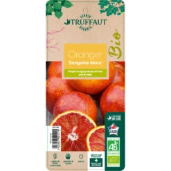 Oranger Moro : AB C3L -Promos Floromyst Boutique 750101 2066800