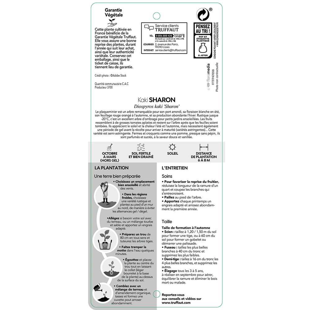 Kaki "Sharon" 1/2T Pot 15L 2 Kaki "Sharon" 1/2T Pot 15L – Image 2