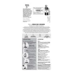 Pêcher Reine Des Vergers Bio, Gobelet 2 Ans -Promos Floromyst Boutique 952756 007