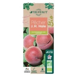 Promos Floromyst Boutique 19 Pêcher à Chair Jaune JH Hale BIO, Gobelet 2 Ans