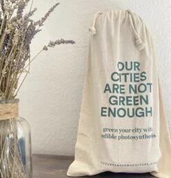 Kit Prêt à Planter - 3 Feuilles -Promos Floromyst Boutique ea572adcd263b51f